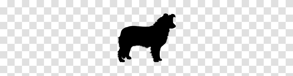 Border Collie, Nature, Outdoors, Astronomy, Outer Space Transparent Png