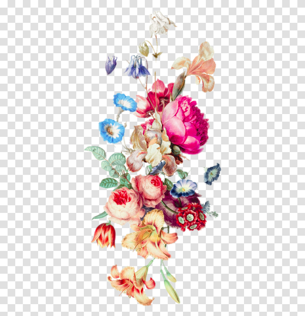 Border Flower Flower Vine, Plant, Blossom, Graphics, Art Transparent Png