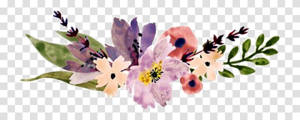 Border Flowers Divider Watercolor, Plant, Anther, Petal, Anemone Transparent Png