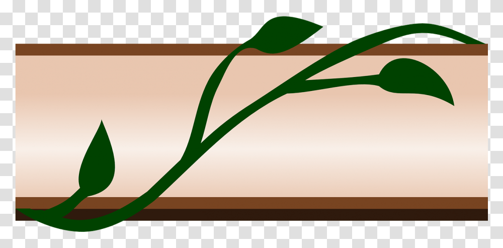Border Ivy Flora Leaf Design Image Border Clip Art, Plant, Produce, Food, Vegetable Transparent Png