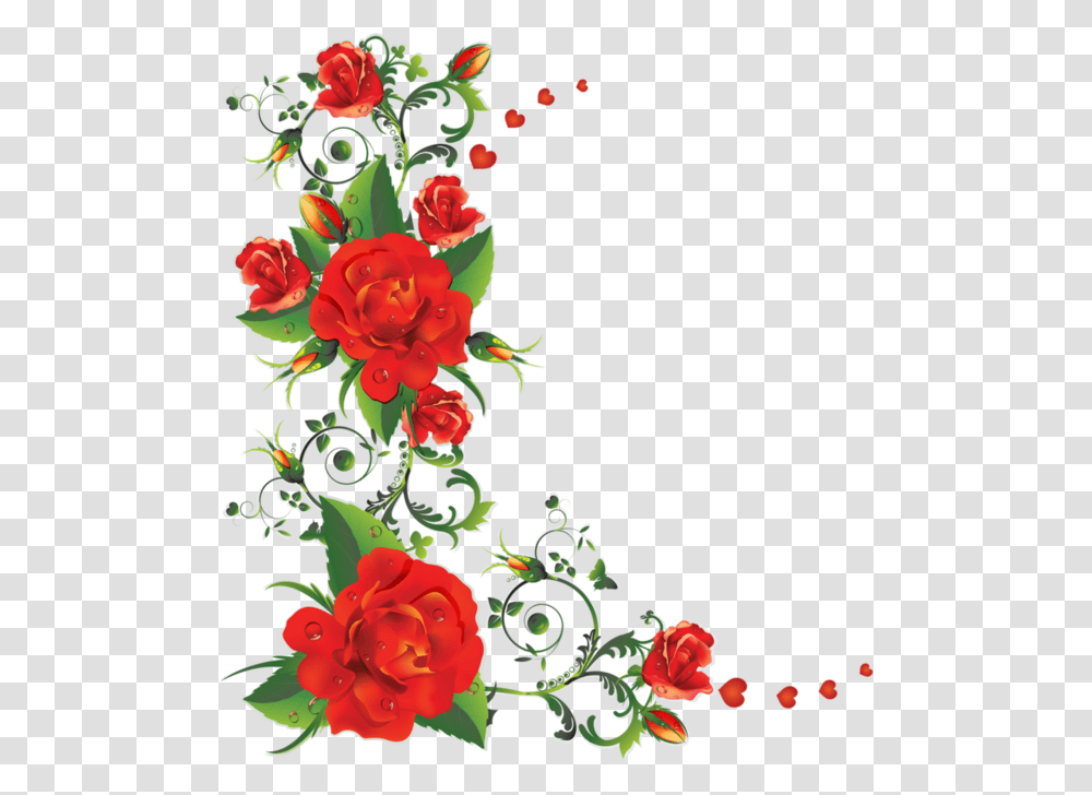 Border Rose Flower, Floral Design, Pattern Transparent Png