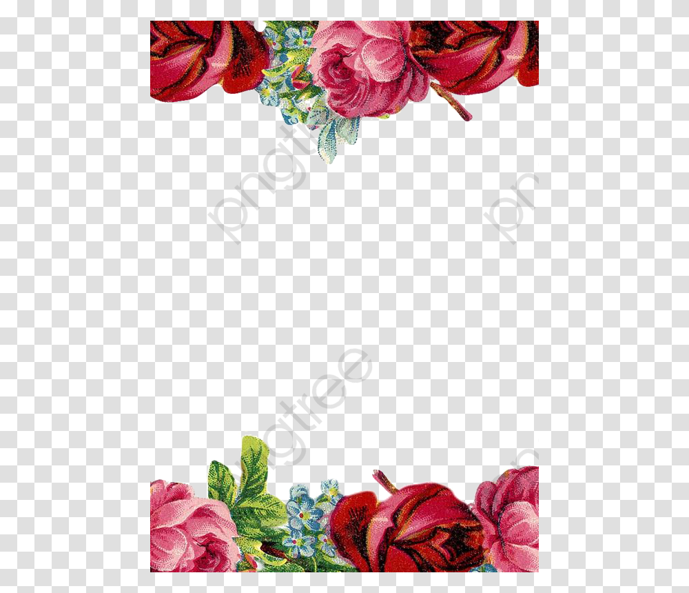 Border Template Red Roses, Plant, Flower, Leaf, Floral Design Transparent Png