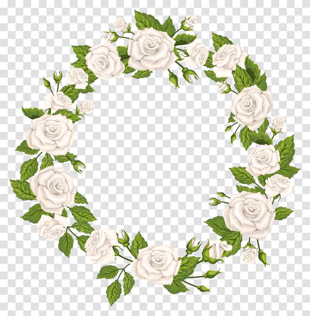 Border White Roses Clipart Transparent Png