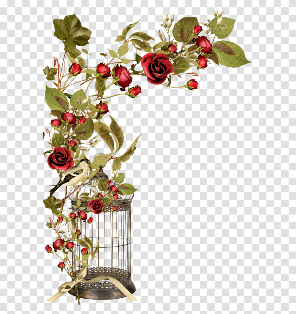 Borders Cantoneiras Cluster Jaula Con Rosas En Bird Cage Flowers, Plant, Floral Design, Pattern, Graphics Transparent Png
