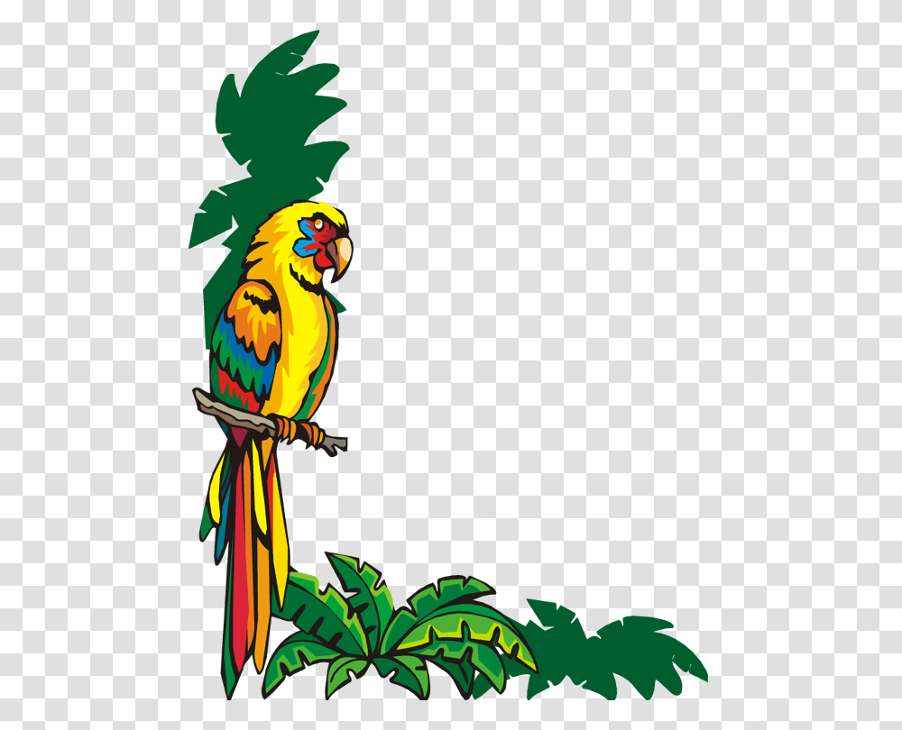 Bordure De, Animal, Macaw, Parrot, Bird Transparent Png
