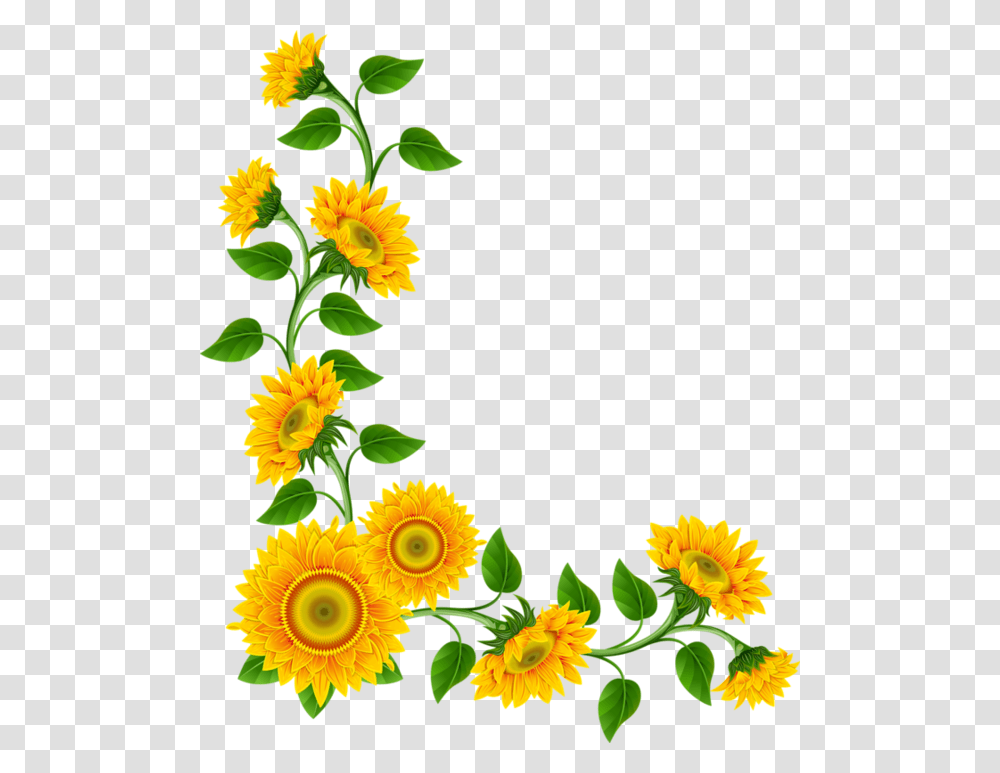Bordurescoinstubes Clipart Clip Art Clipart Images Flowers, Plant, Floral Design, Pattern Transparent Png