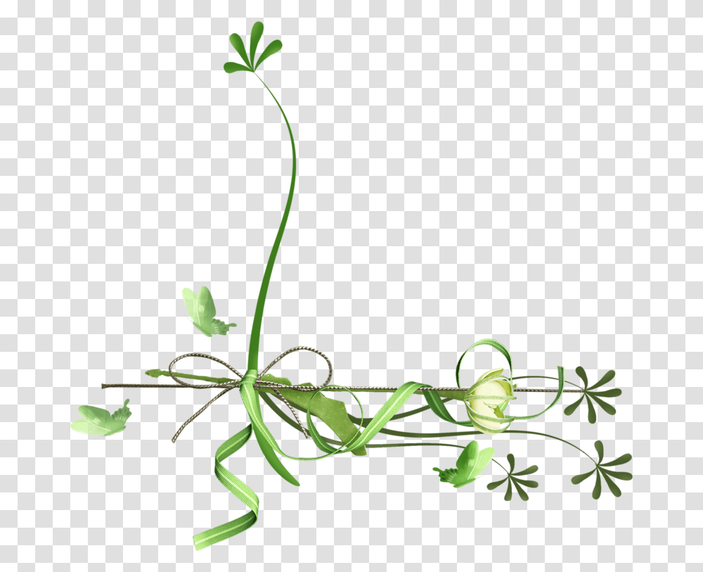 Bordurescoinstubes Contour De, Plant, Flower, Blossom, Animal Transparent Png