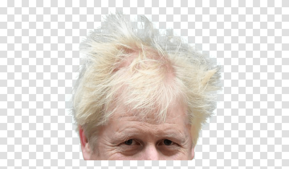 Boris Johnson Head, Face, Person, Human, Hair Transparent Png