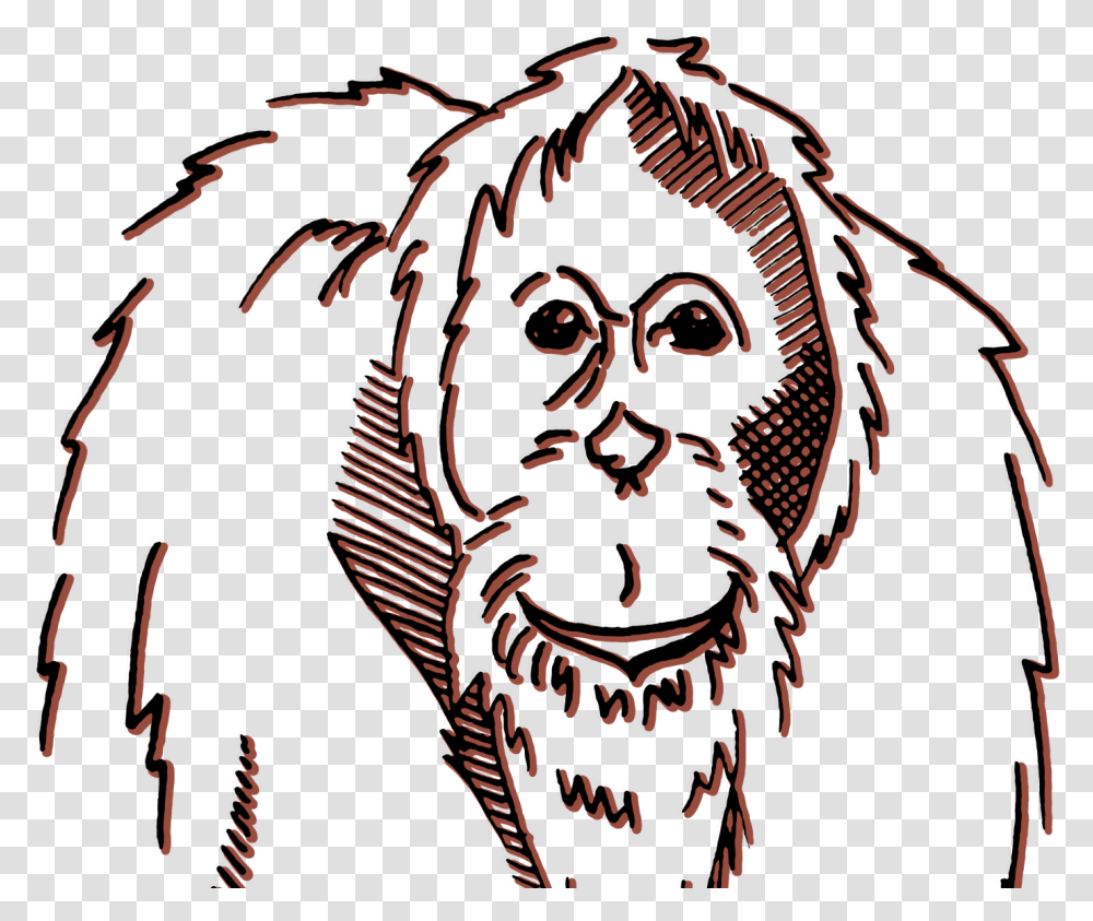 Bornean Orang By Liza Sansous Illustration, Symbol, Skin, Logo, Emblem Transparent Png