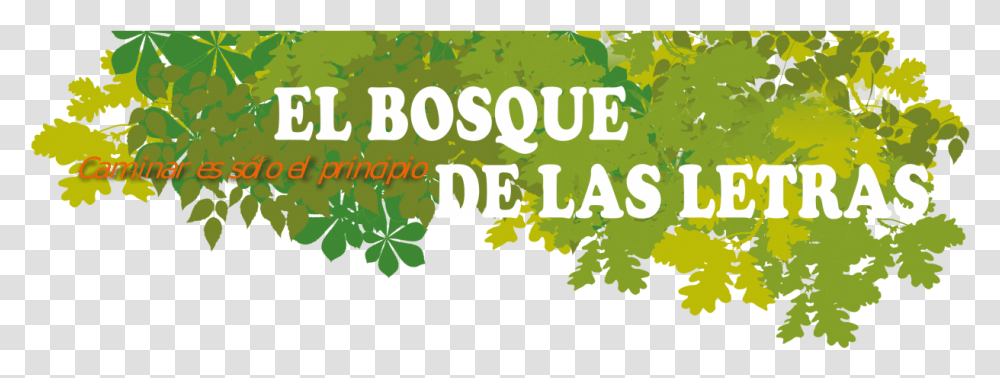 Bosque De Las Letras Latinas Do It Better T, Vegetation, Plant, Rainforest, Land Transparent Png