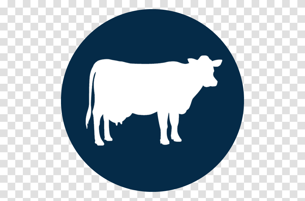 Boss Tools Icons Cows Boss Tools, Bull, Mammal, Animal, Cattle Transparent Png