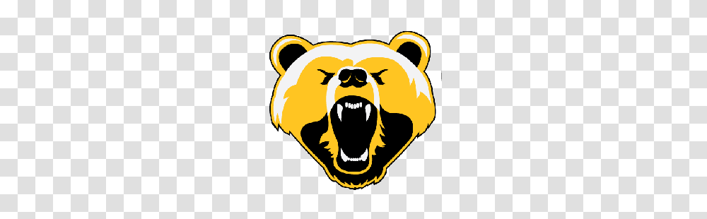 Boston Bruins Concept Logo Sports Logo History, Mammal, Animal, Wildlife, Soccer Ball Transparent Png