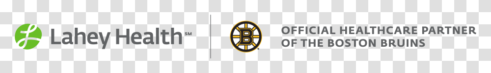 Boston Bruins, Logo, Trademark, Security Transparent Png