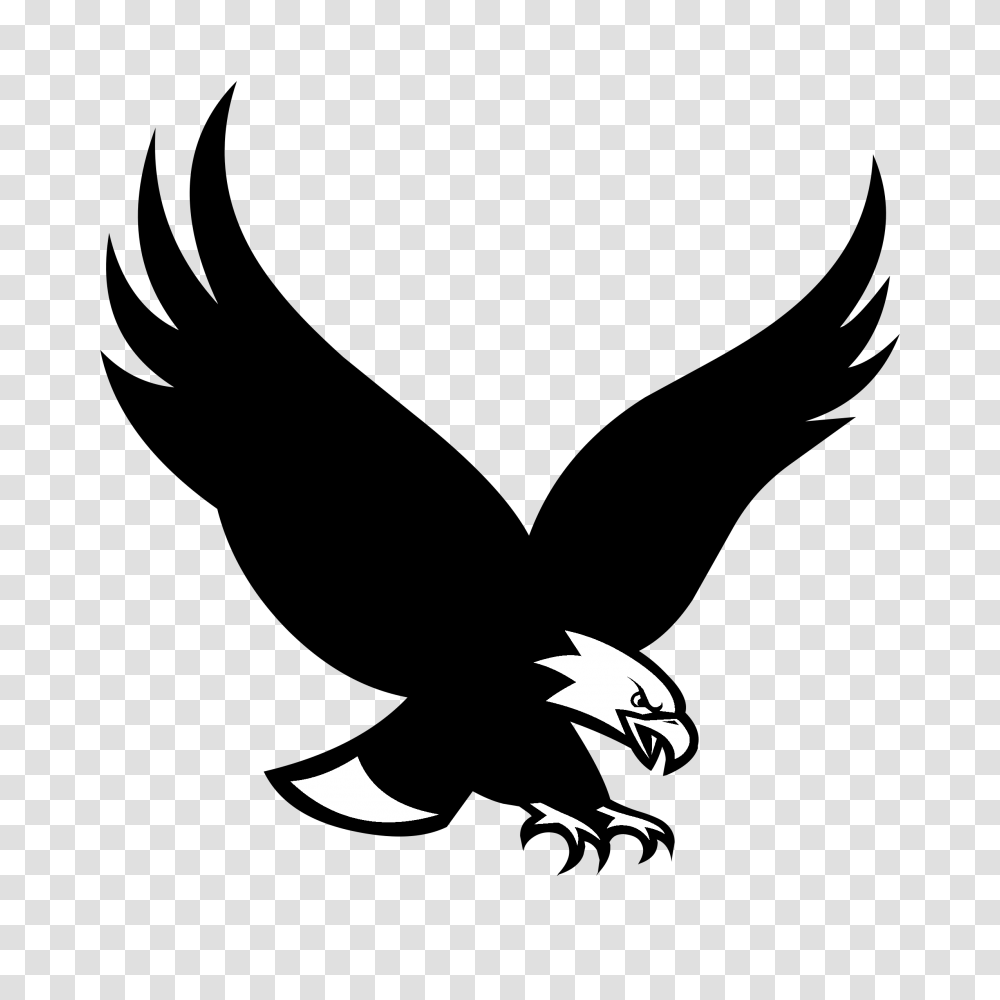 Boston College Eagles Logo Vector, Silhouette, Bird, Animal, Outdoors Transparent Png
