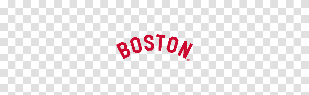 Boston Doves Primary Logo Sports Logo History, Face, Number Transparent Png