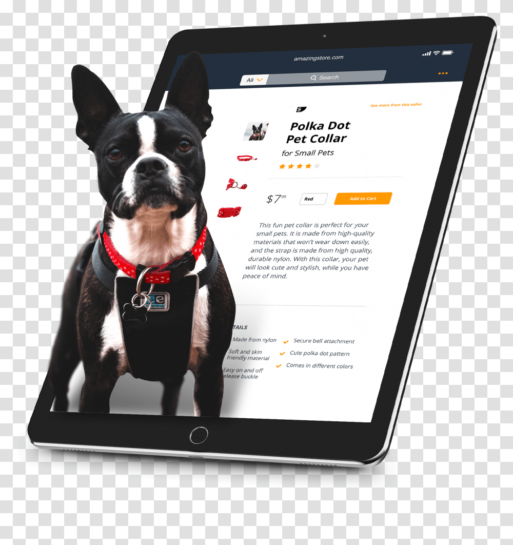 Boston Terrier, Electronics, Computer, Dog, Pet Transparent Png