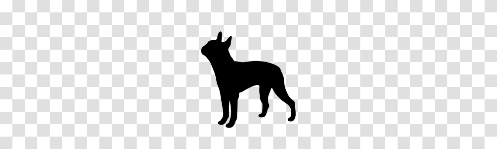 Boston Terrier Silhouette Clipart Free Clip Art Images Cartoon, Animal, Mammal, Cat, Pet Transparent Png
