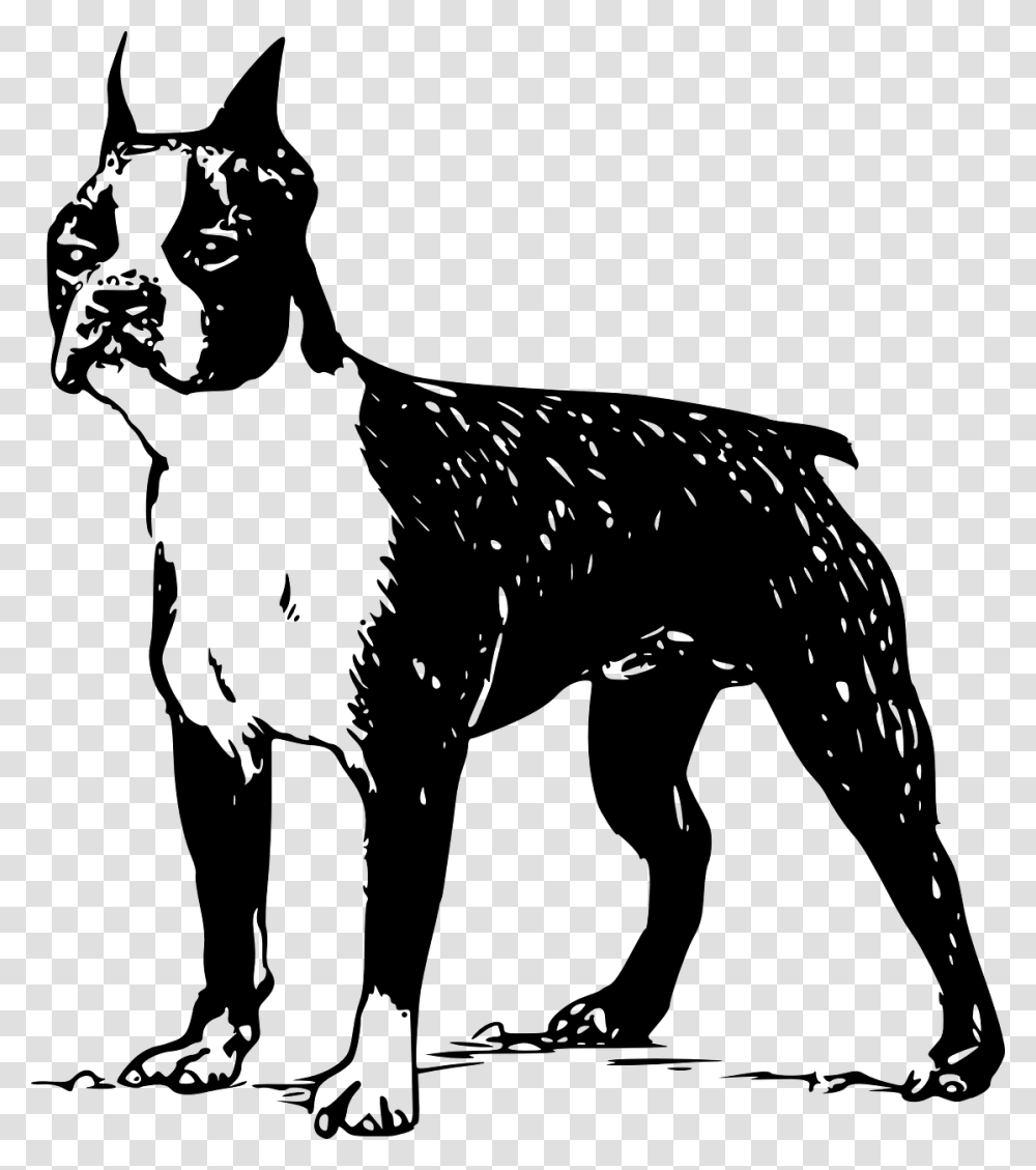 Boston Terrier Vector Free, Gray, World Of Warcraft Transparent Png