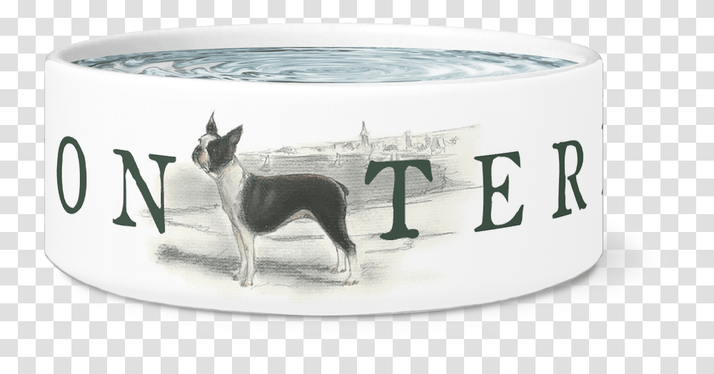 Boston Terrier Water Or Food Bowl Boston Terrier, Dog, Pet, Canine, Animal Transparent Png