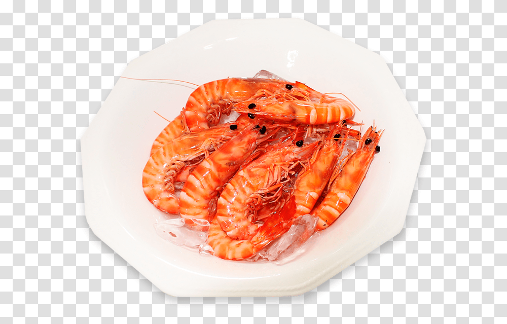 Botan Shrimp, Lobster, Seafood, Sea Life, Animal Transparent Png