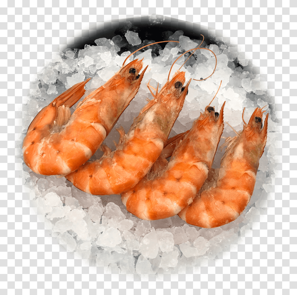Botan Shrimp, Seafood, Sea Life, Animal, Lobster Transparent Png