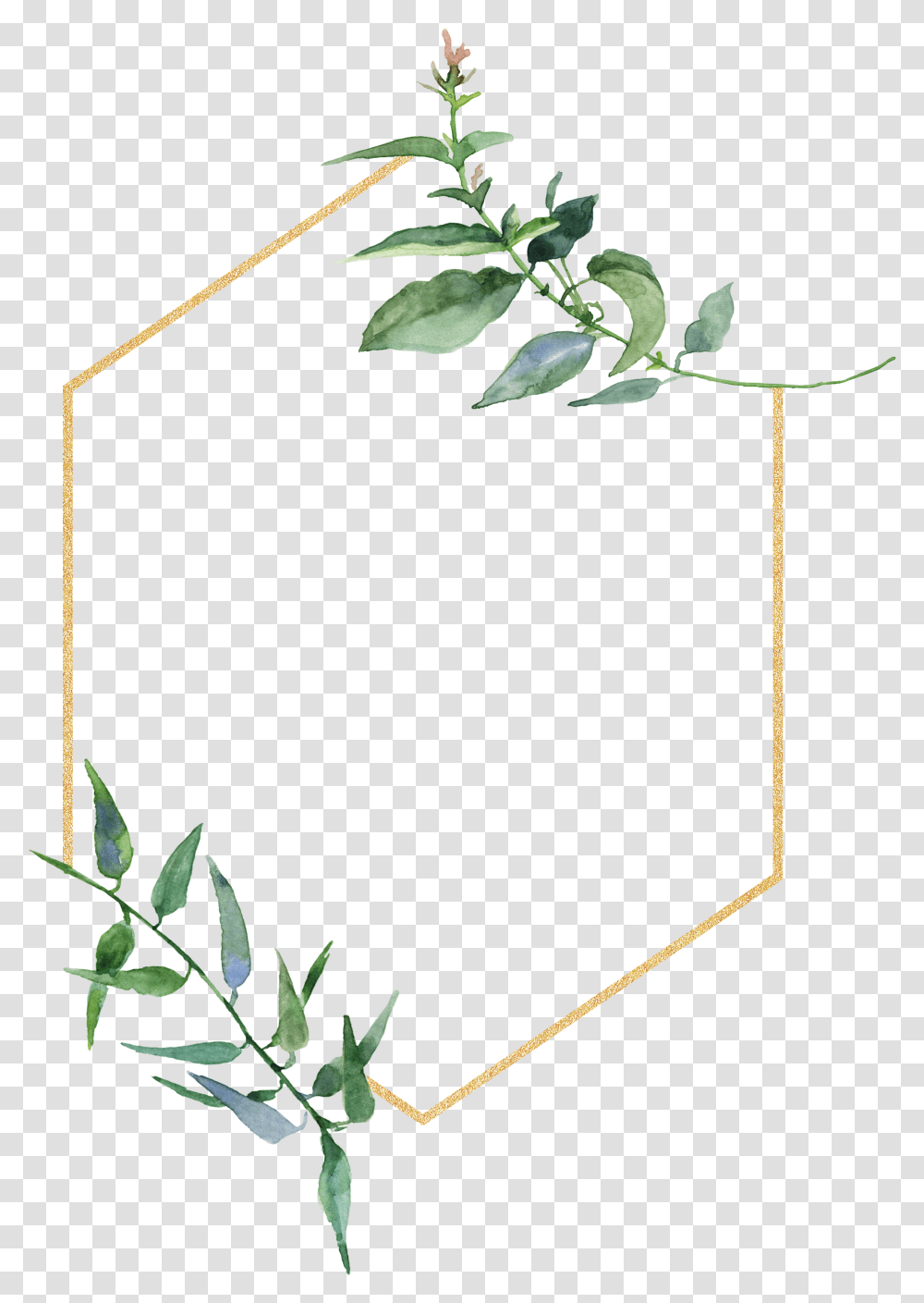 Botanic Frame, Plant, Leaf, Flower, Rose Transparent Png
