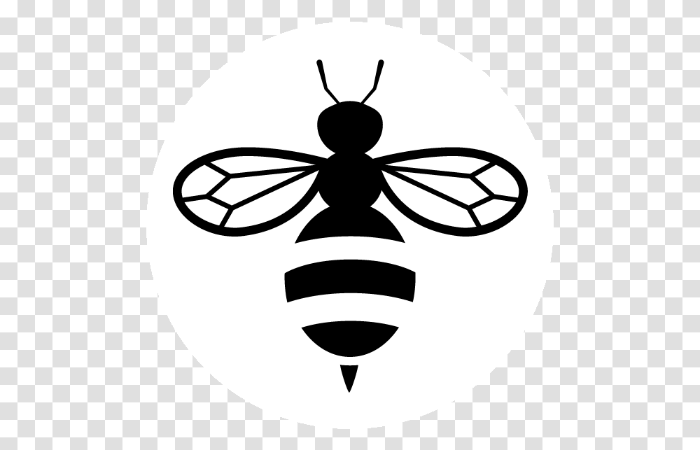 Botanica Honey Bee Icon, Stencil, Wasp, Insect, Invertebrate Transparent Png