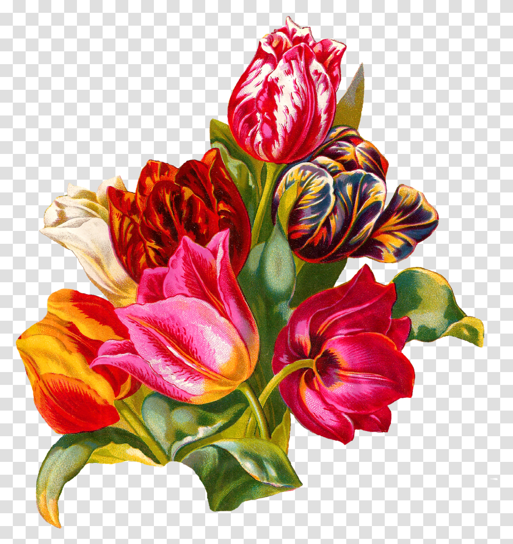 Botanical Artwork Tulip Flower Digital Floristry, Plant, Blossom, Flower Arrangement, Flower Bouquet Transparent Png