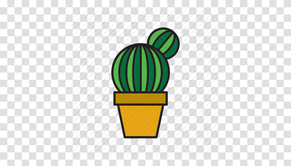 Botanical Cacti Cactus Flowerpot Plant Pot Succulent Icon, Vehicle, Transportation, Aircraft, Food Transparent Png