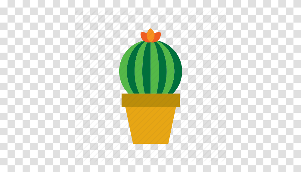 Botanical Cacti Cactus Plant Pot Potted Succulent Icon, Food, Fruit, Toy, Watermelon Transparent Png