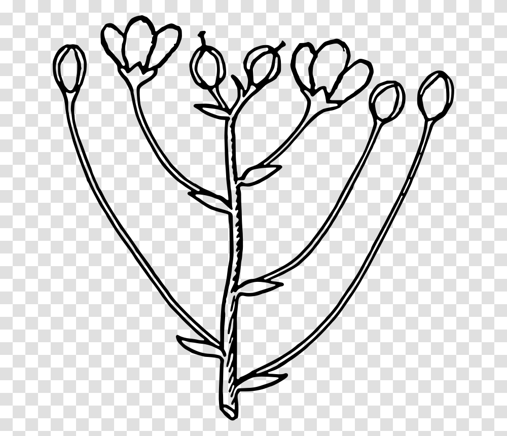 Botanical Clip Art, Gray, World Of Warcraft Transparent Png