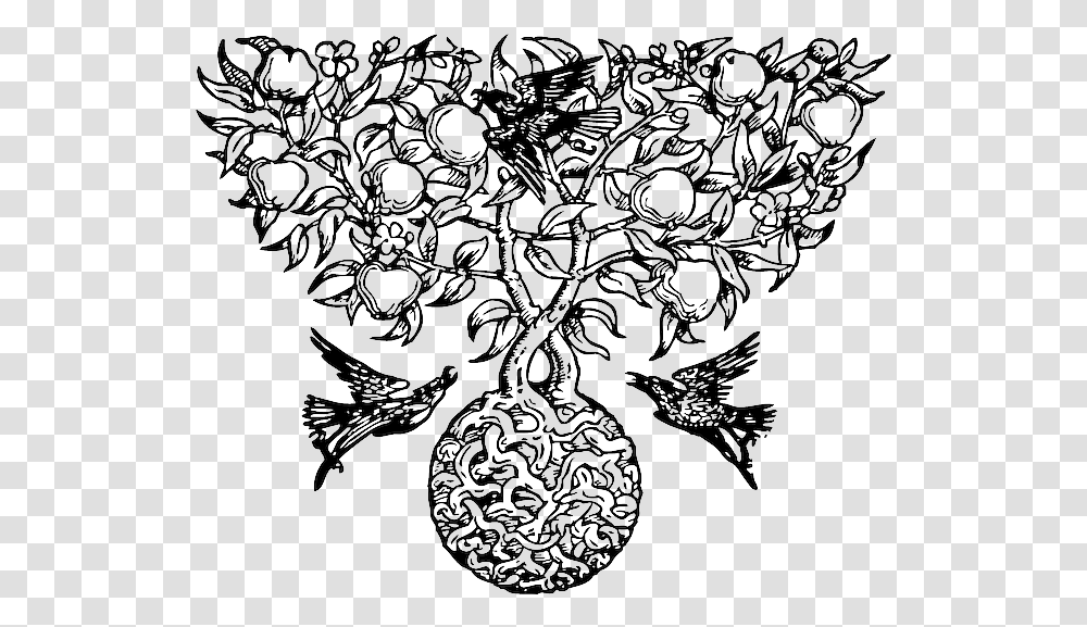 Botanical Print Plant And Roots Tree Motif, Chandelier, Lamp, Jewelry, Accessories Transparent Png