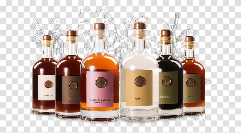 Botanical Spirits, Liquor, Alcohol, Beverage, Drink Transparent Png