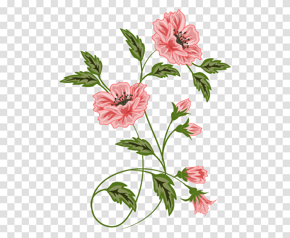 Botanical Vector Botany Vector Floral, Plant, Flower, Blossom, Hibiscus Transparent Png