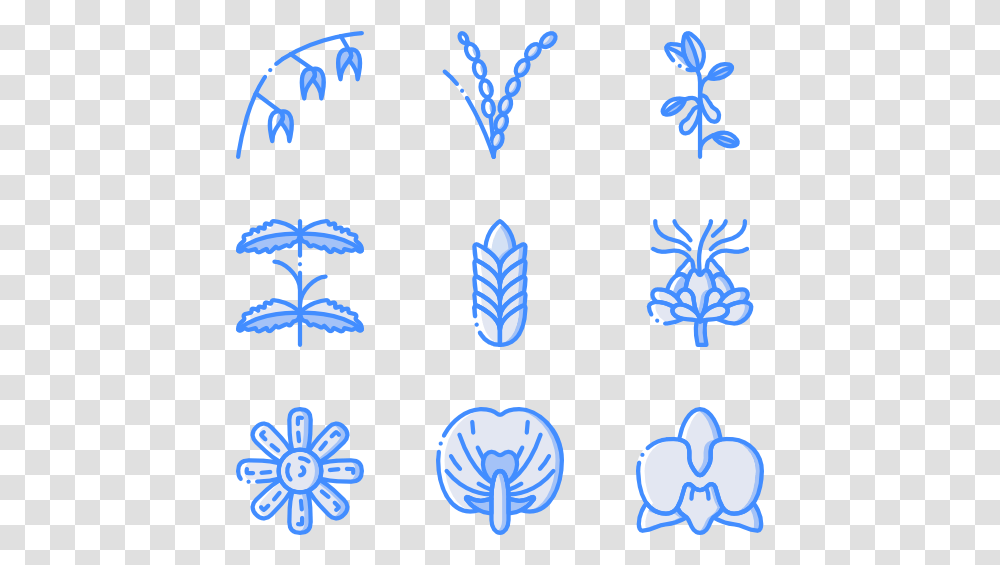 Botanicals, Pattern, Ornament Transparent Png