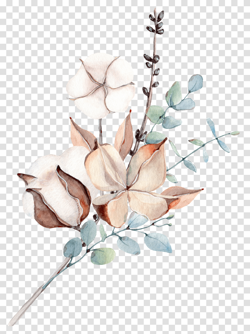 Botanicheskie Risunki, Plant, Flower, Floral Design Transparent Png