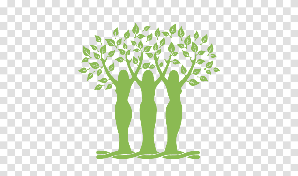 Botanicwise Welcome, Plant, Root, Food, Vegetable Transparent Png