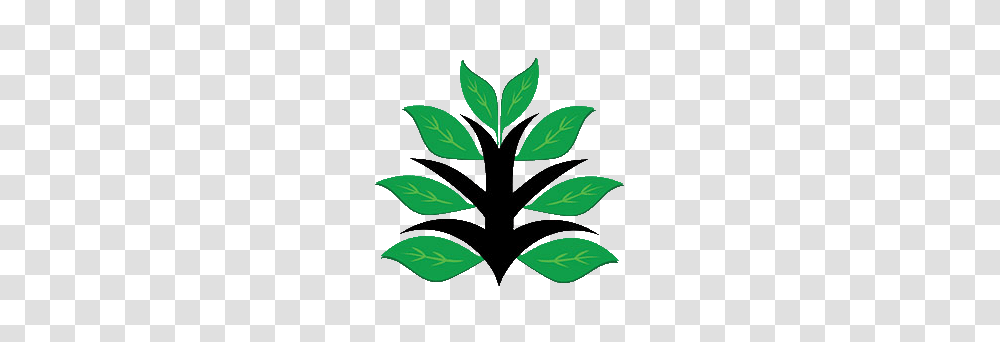 Botany Games, Leaf, Plant, Green, Weed Transparent Png