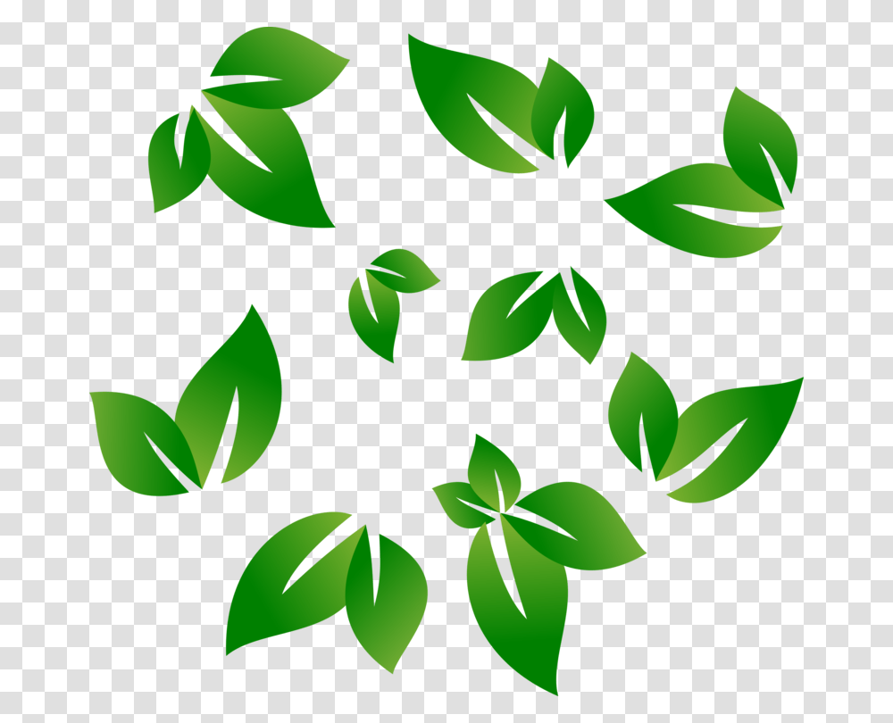 Botanyplantflower, Green, Leaf, Floral Design, Pattern Transparent Png