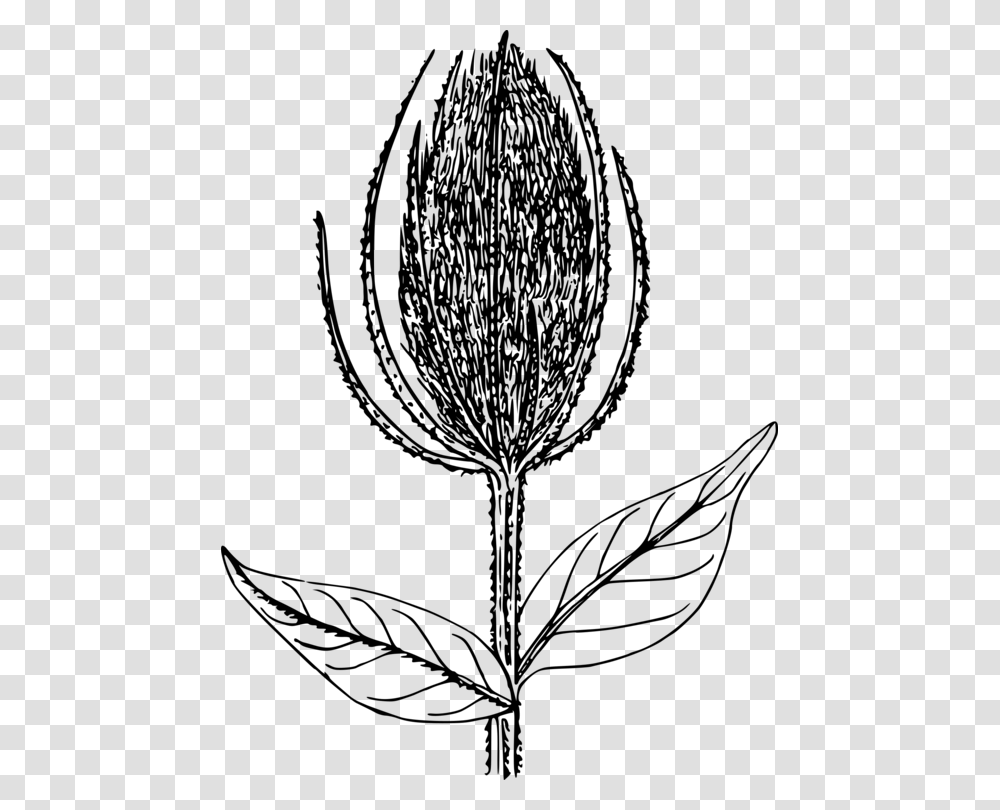 Botanyplantflower Illustration, Gray, World Of Warcraft Transparent Png