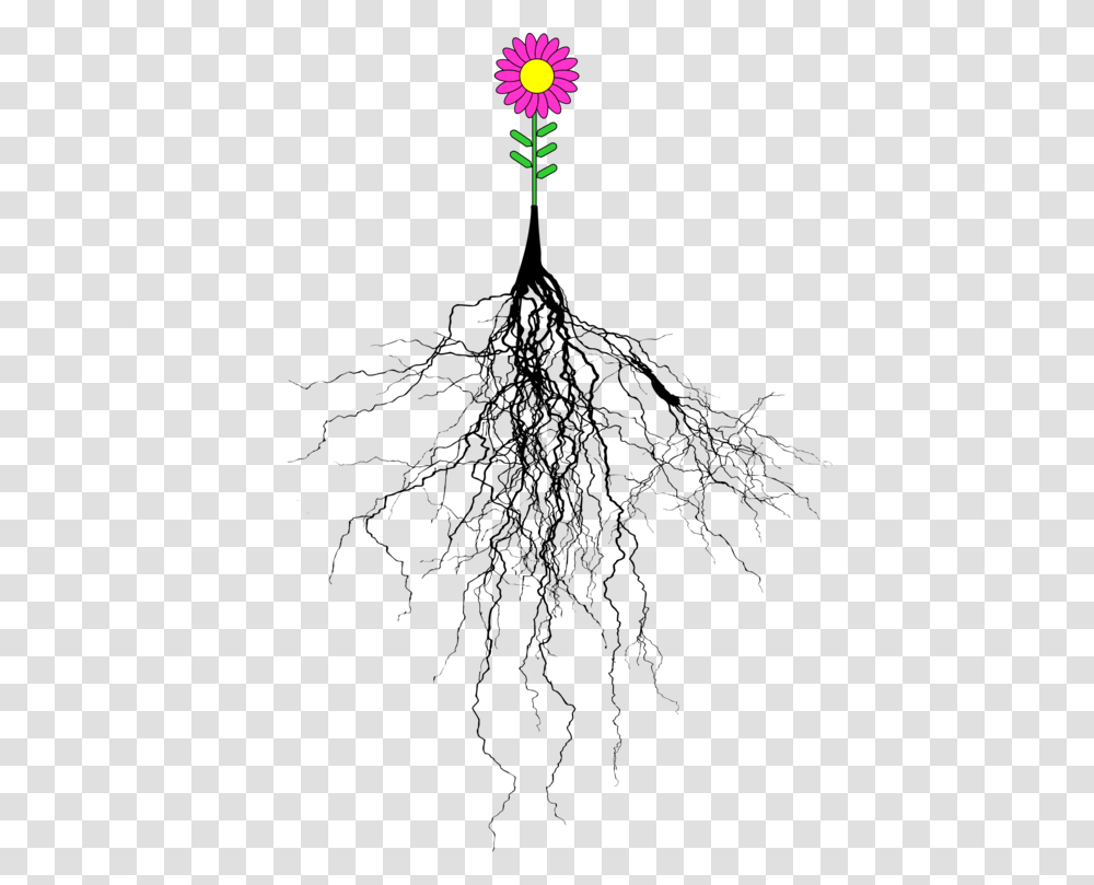 Botanyplanttree Tree With Roots, Outdoors, Nature, Gray Transparent Png