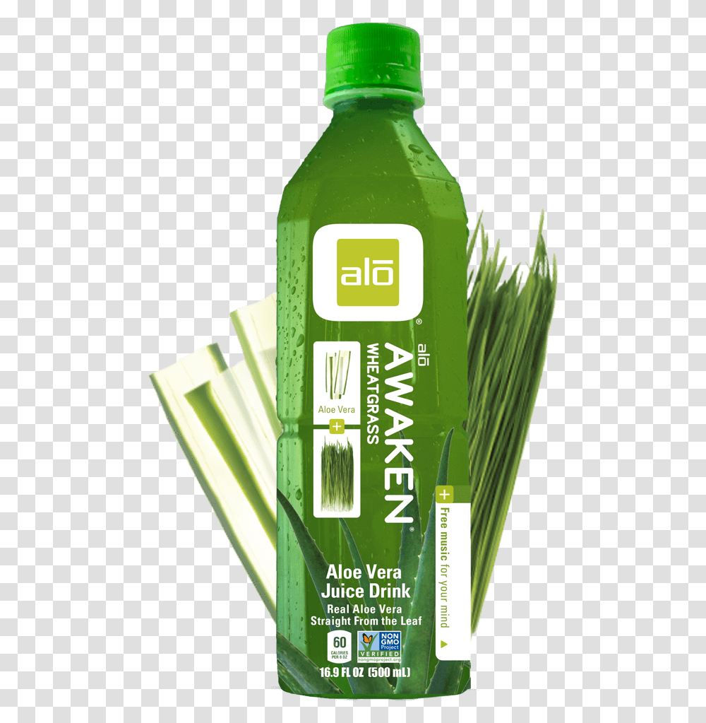 Bottle, Green, Plant, Beverage, Alcohol Transparent Png