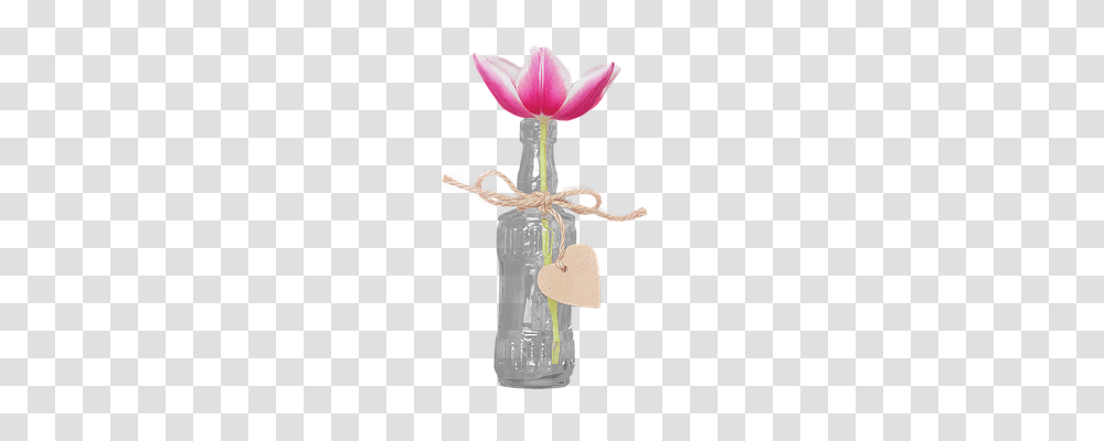 Bottle With Tulip Drink, Flower, Plant, Blossom Transparent Png