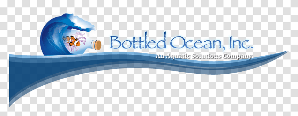 Bottled Ocean Tv Debut Edible Arrangements, Water, Text, Outdoors, Word Transparent Png