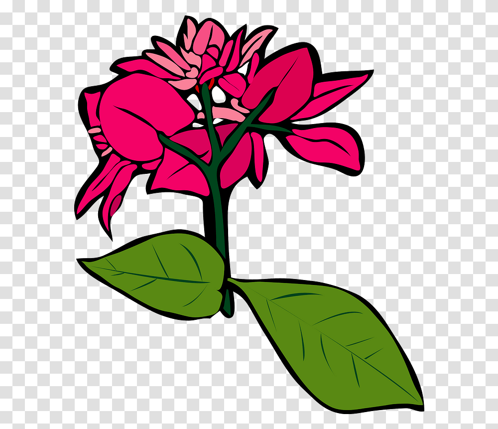 Bougainvillea Flower Clipart Clip Art, Plant, Blossom, Acanthaceae, Leaf Transparent Png