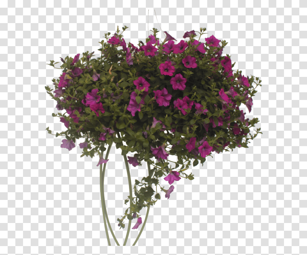 Bougainvillea, Pattern, Plant, Purple, Ornament Transparent Png