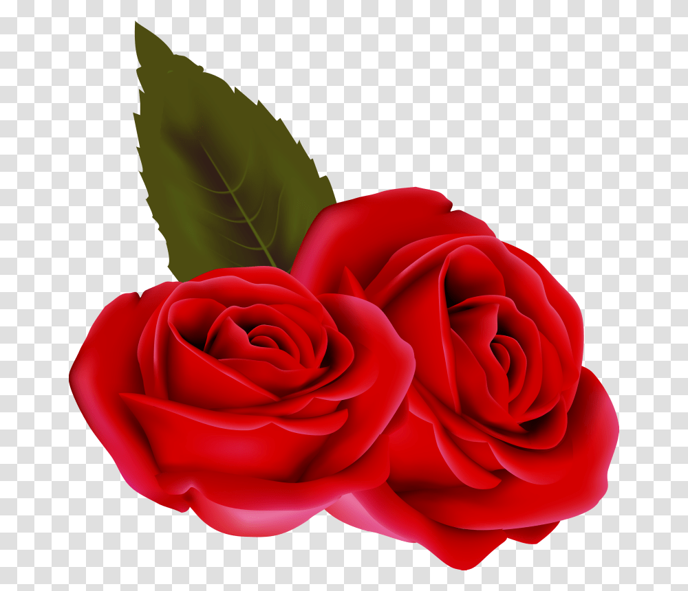 Bouqet De Roses Rosa Fleur Rouge Passion St Valentin Rose Rouge Fond, Flower, Plant, Blossom, Petal Transparent Png