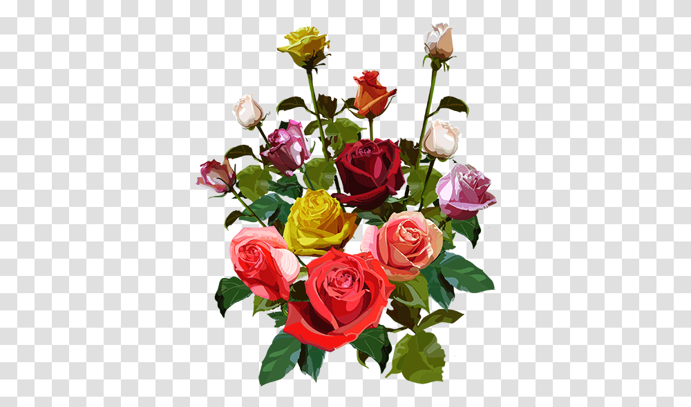 Bouqet If Flowers Big, Plant, Blossom, Flower Bouquet, Flower Arrangement Transparent Png