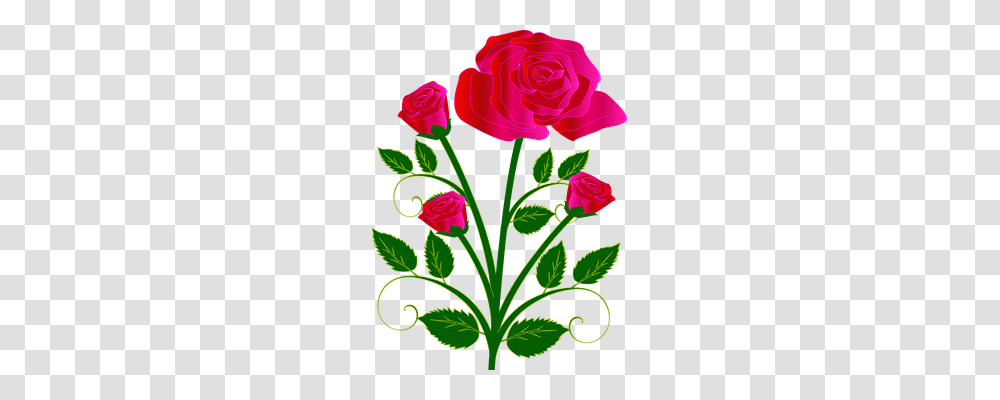 Bouquet Emotion, Plant, Flower, Blossom Transparent Png