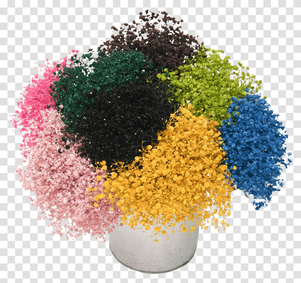 Bouquet, Plant, Fungus, Dye Transparent Png